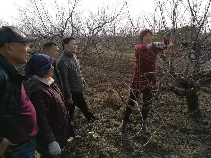 厉害了何明芳王卫国被聘为国家首批林草乡土专家