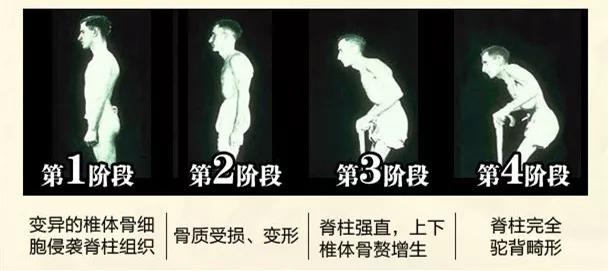 6f2c604e9e9d44b5bc24c97c2367bbec.JPG