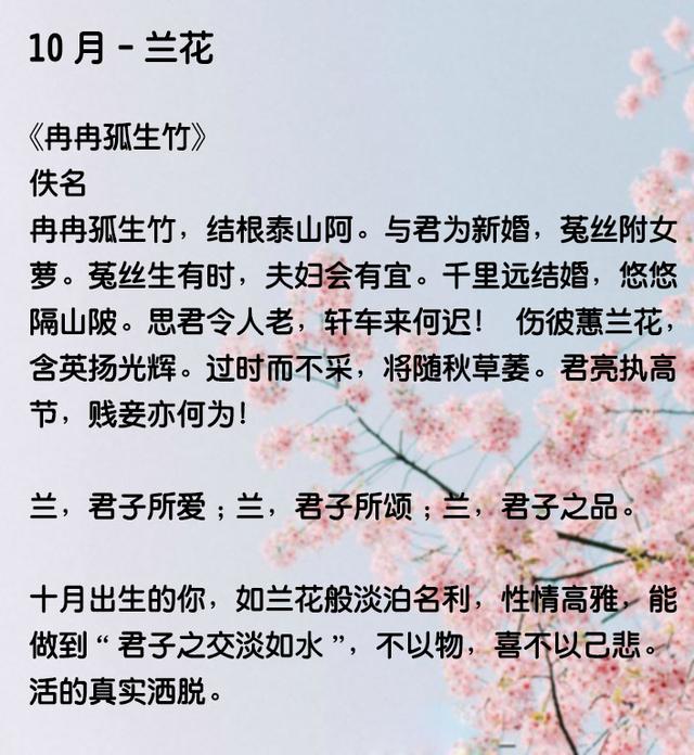 什么花似锦成语_成语故事图片