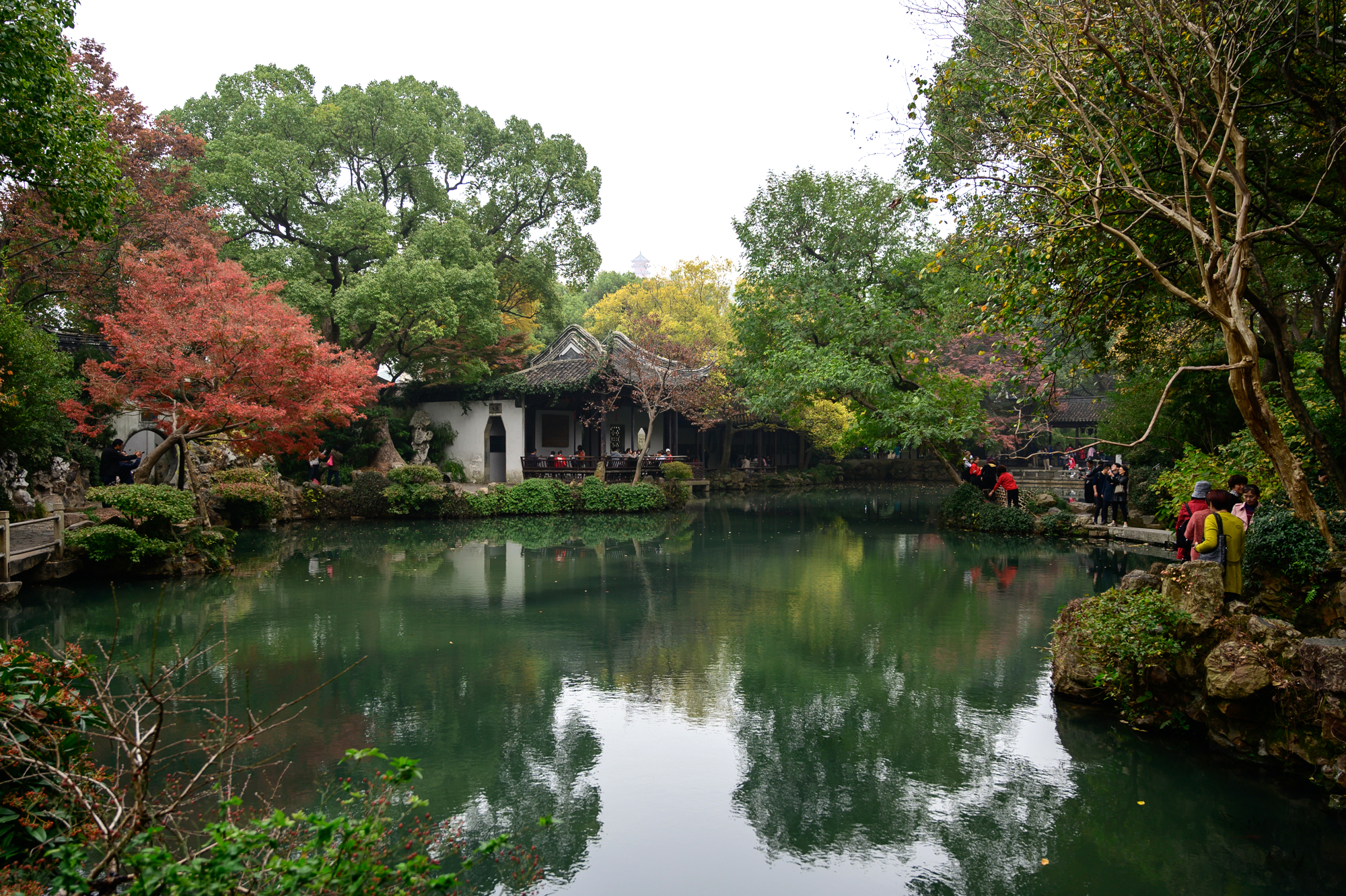 无锡寄畅园,康熙乾隆最爱的江南名园,历经500年沧桑依然惊艳_园林