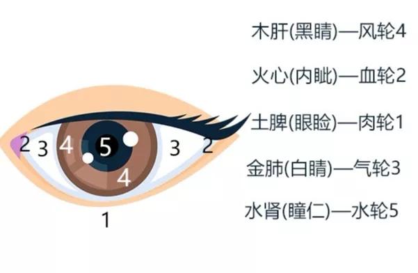 「儿康堂」下眼皮发红、发青？“一眼”看穿孩子是否长期脾虚！