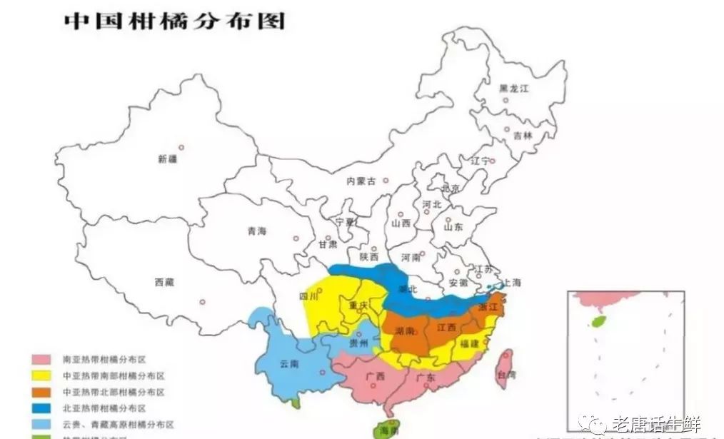 【果技精选】柑橘五张图！水果采购必须掌握的产地分布、必博体育品种区分、各品种不同(图3)