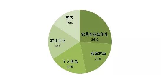 农业从业人口真正_真正的美人鱼图片