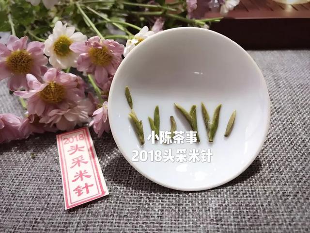 为什么白茶能压成饼，而武夷岩茶不能压？