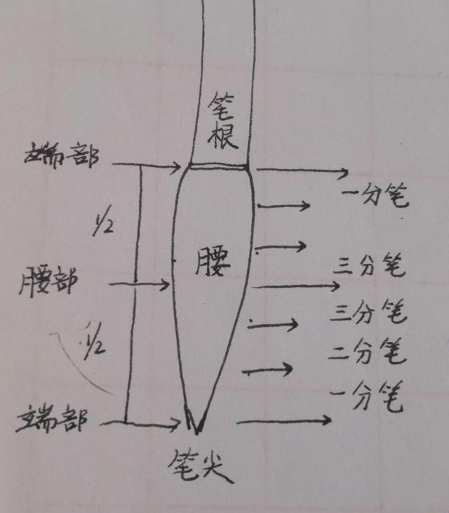 写毛笔字的小科普,如何将笔毫触纸对号入座。