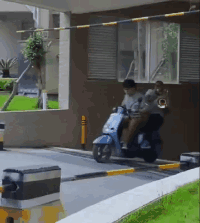 a483fcf8de384a5cae4c8c27549aba45.gif