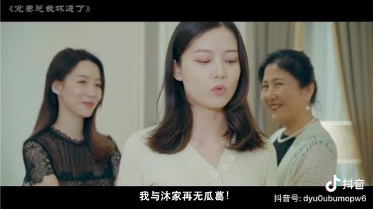 老总的女性奴(3)