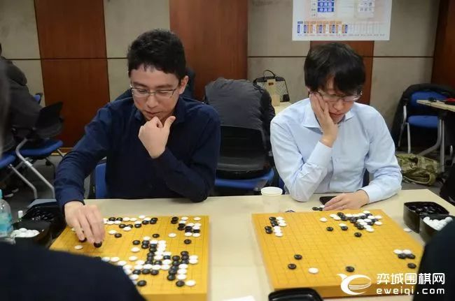 杨鼎新擒申真谞七连胜追平纪录农心杯日韩只剩主将