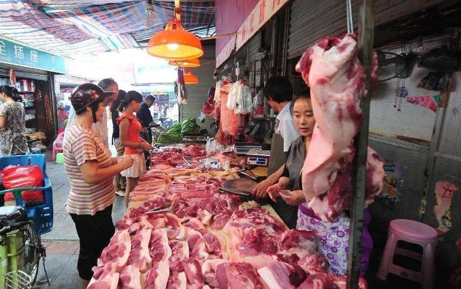 人均 猪肉_猪肉炖粉条图片(2)