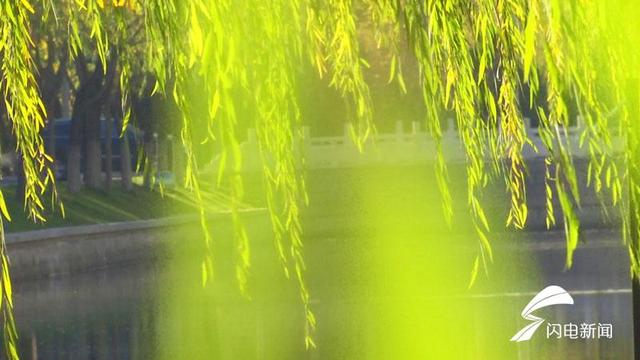 60秒|德州:冬日暖阳遇到河畔垂柳,世间美好与你