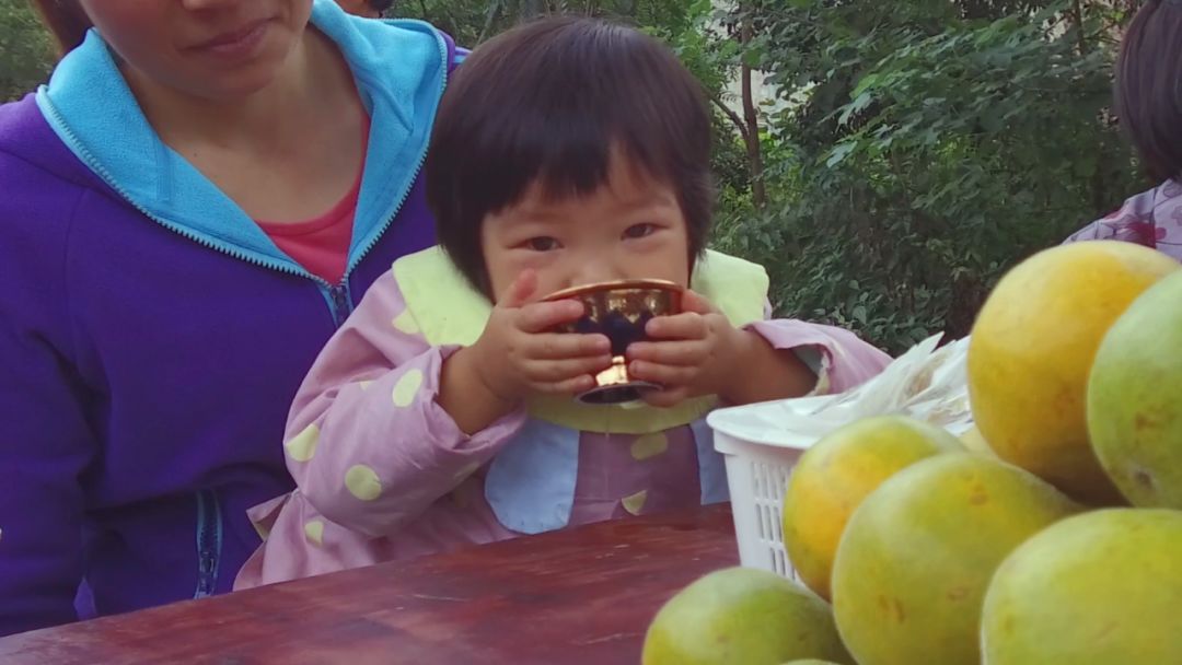 茶洞镇人口_茶洞镇图片(3)