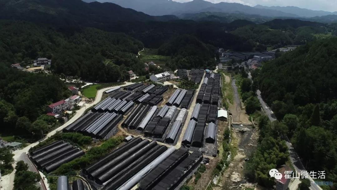 太平畈乡人口_霍山太平畈乡太平村