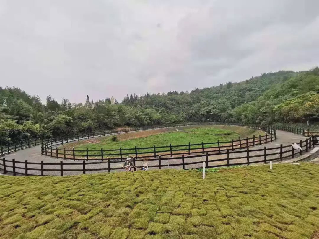 喜报!黔江水车坪景区获批国家aaaa级旅游景区
