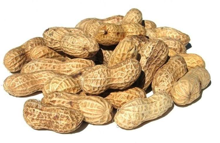 怎么种花生全过程 e0628addf3e644c890459f063268a09b.jpeg