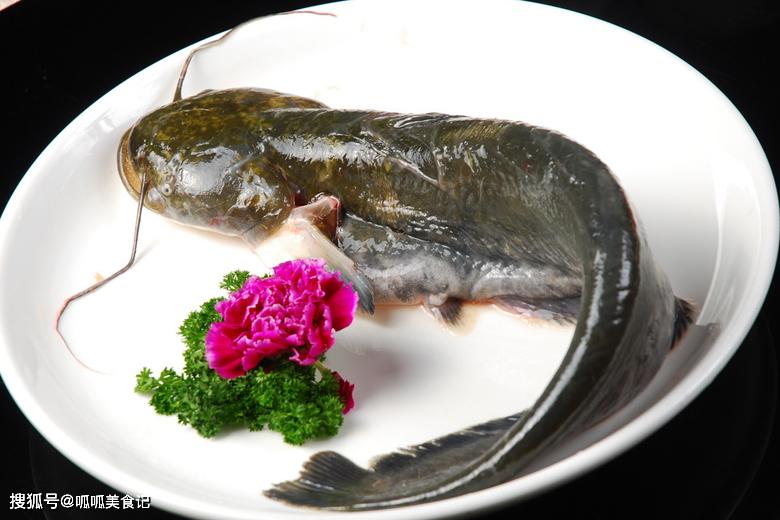 黑鲶鱼怎么吃最好