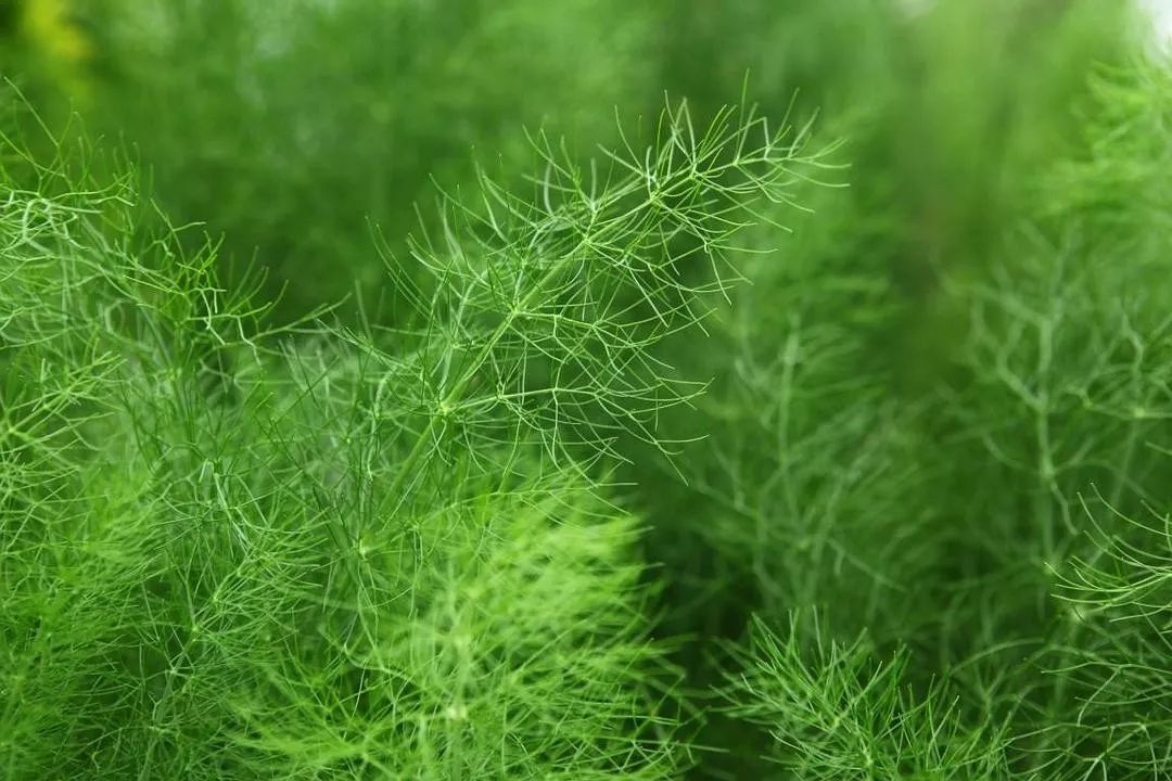 e6e6fe725ac9423196d842ad8600bc06.jpeg
