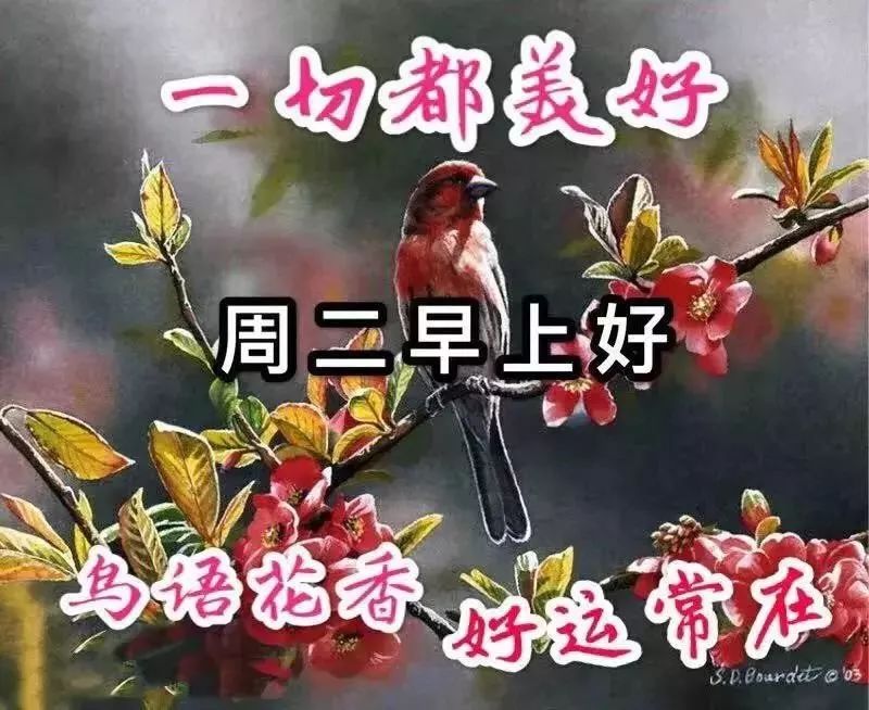 11月26日周二群发早上好问候祝福动态表情图片 最美早晨好问候表情