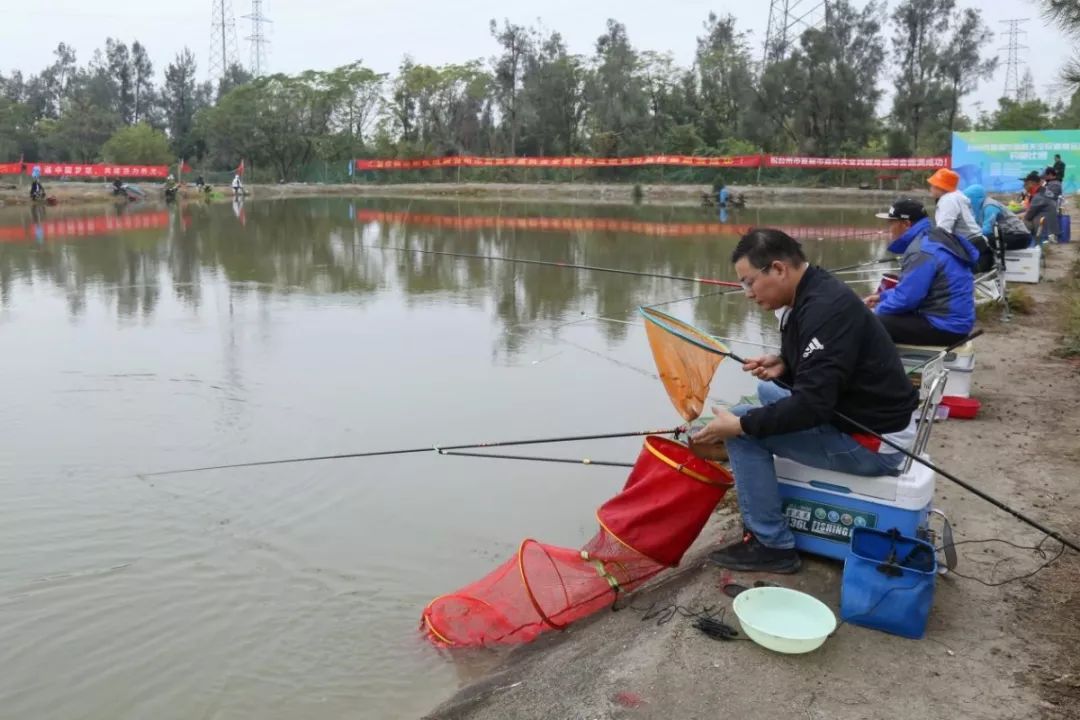 秋日垂钓碧溪上悠然市直欢乐添