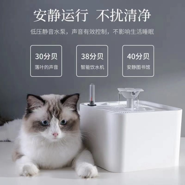 猫为什么特别爱掉毛 f8c14f1047fe42c29f5c065e5a795b42.png