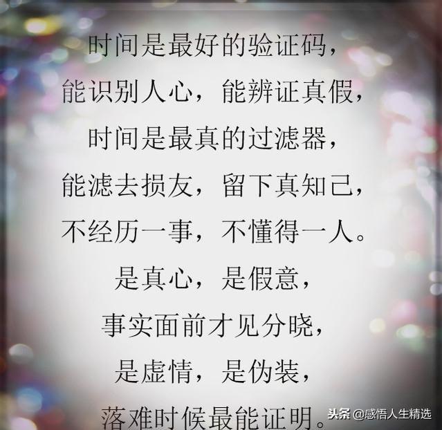 临水简谱_临水式金弹子盆景图片(3)