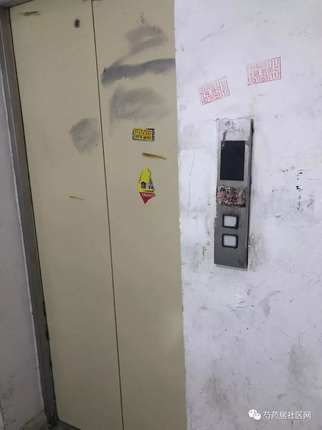 fcb2c1b7d2164fbfa4ae01dddfc6d9f3.jpeg
