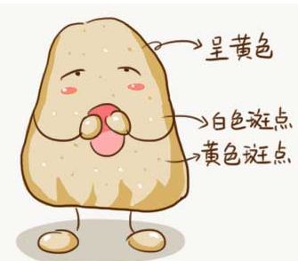 ff8dc7df30d448c5b28d52044efa0ad4.jpeg