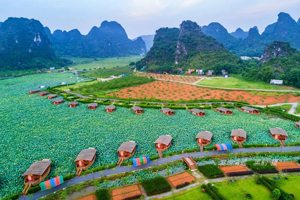 t三有机茶|英西峰林食住玩游玩攻略