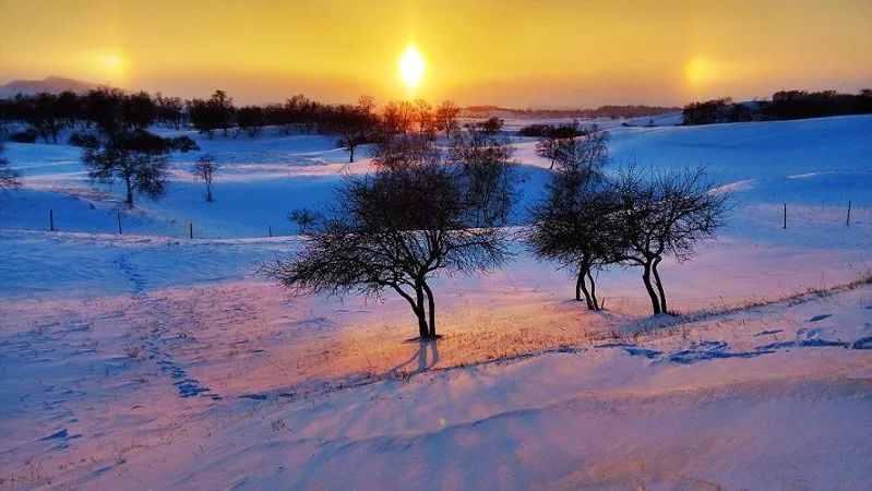 音色纯净明亮旋律柔和的小提琴曲我爱你塞北的雪