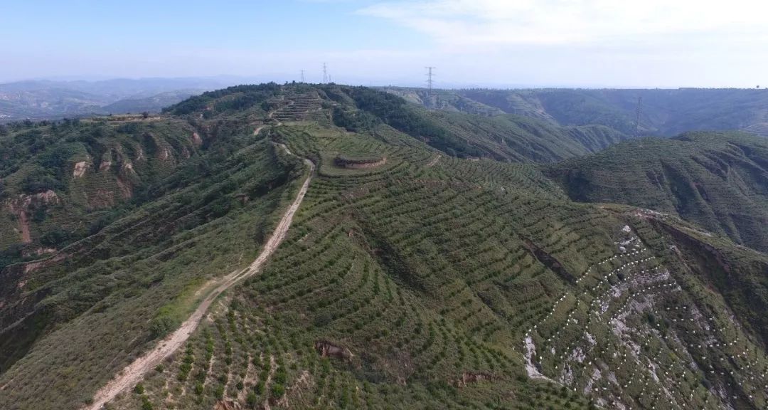 黄土高原经济总量_黄土高原(2)