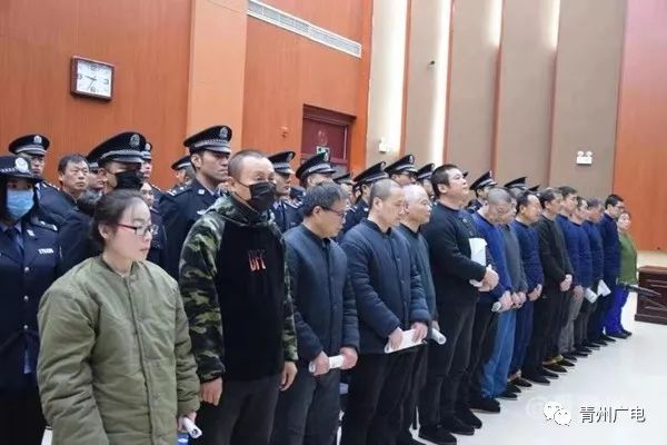 王雷,万莉等33人涉黑,被青州市人民法院公开审理