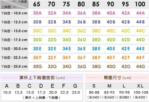 内衣36c对应的尺码_衣服尺码对照表(3)