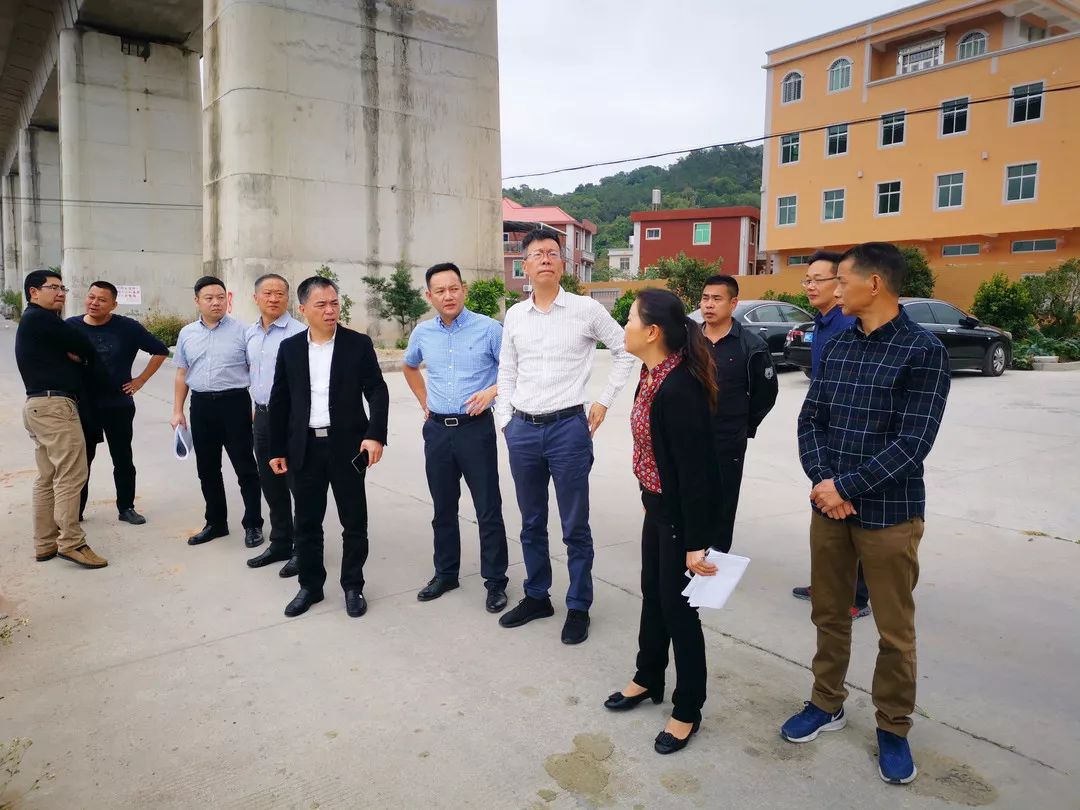 南安市委副书记张桂森,市政府副市长王端峰到丰州镇指导推进农村人居