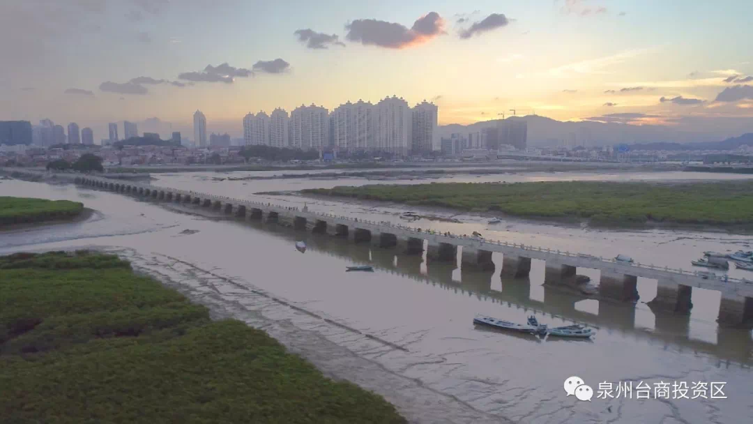 阳江市有多少人口_阳江市人民医院图片(3)