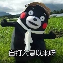 13a527939a5f450881d3dd4293fa2273.jpeg