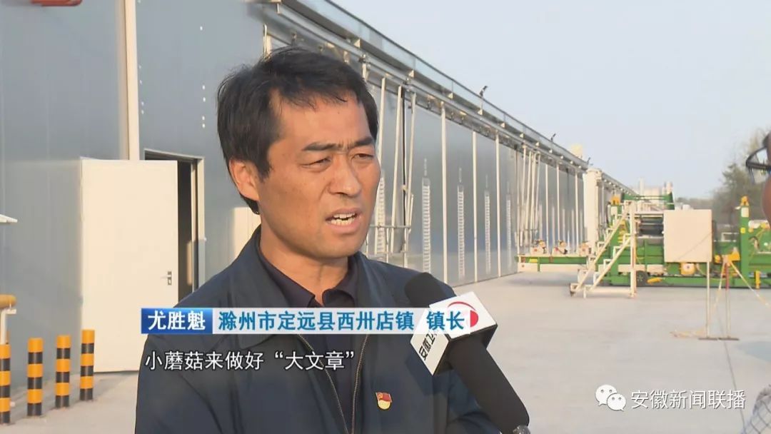 滁州市定远县西卅店镇 镇长 尤胜魁小蘑菇做好大文章 预计今年年底