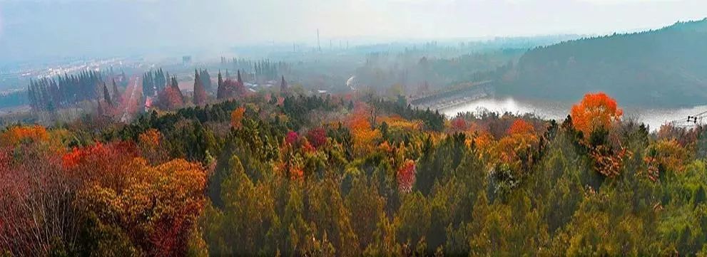 徐州北洞山汉墓_徐州铜山汉墓_徐州韩山汉墓