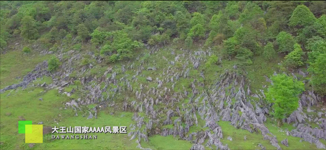 "人间绝色"深山秀美 马边大王山—仰天窝