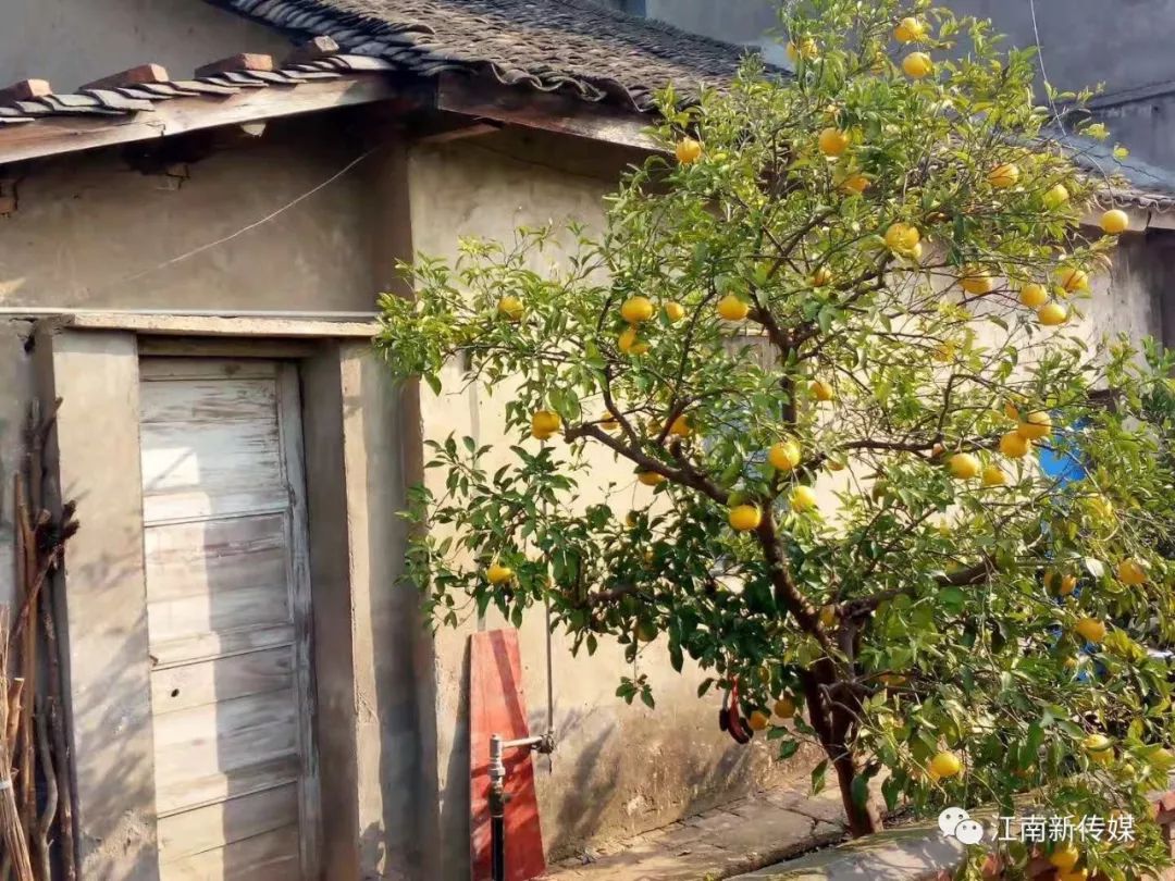 抓一把乡愁送给你