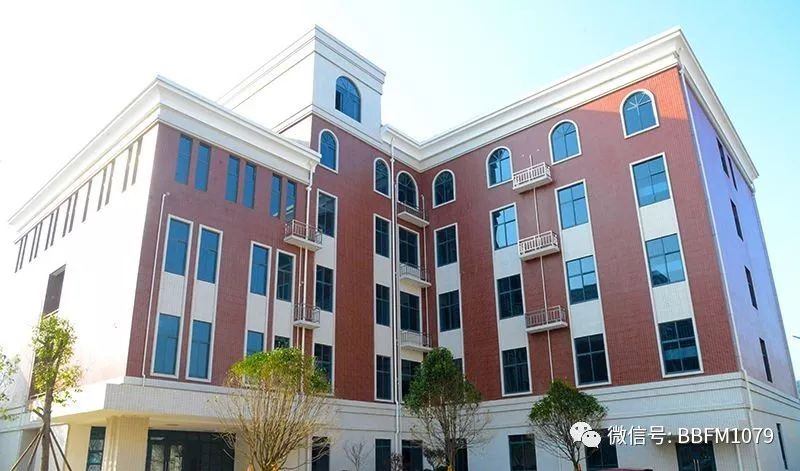 蚌埠2020年高考全省_安徽2020年高考分数线公布(2)