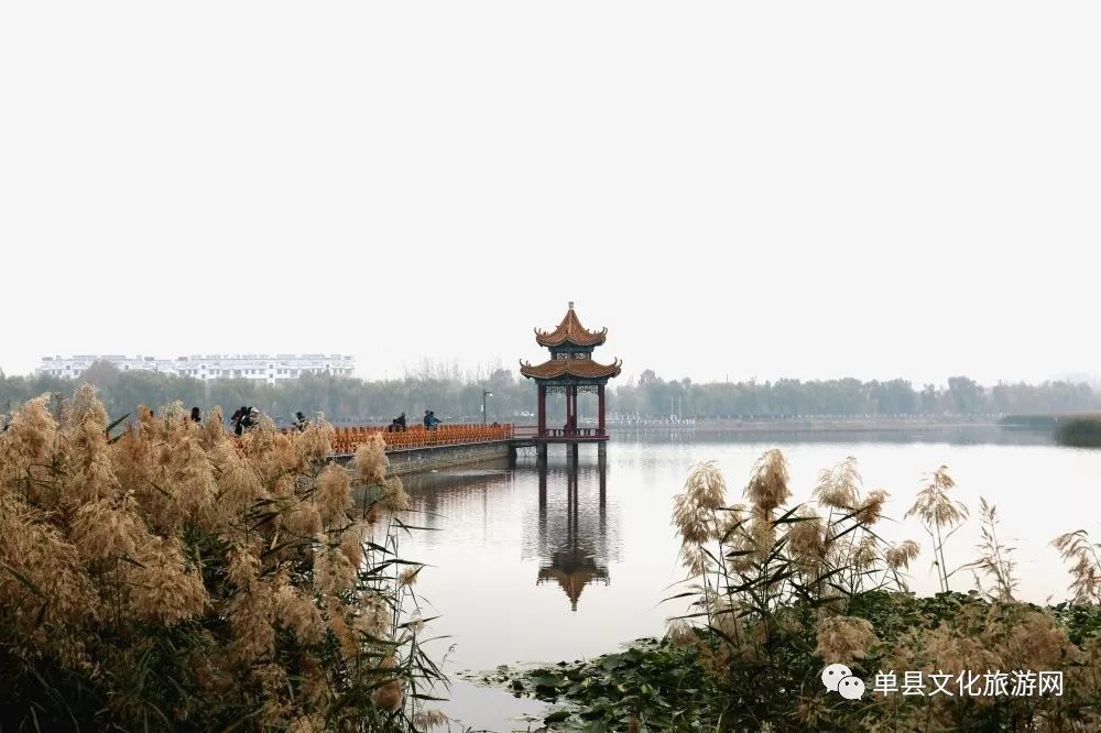 单县旅游景点:戴月景区,三分路水七分林,十里不识归!