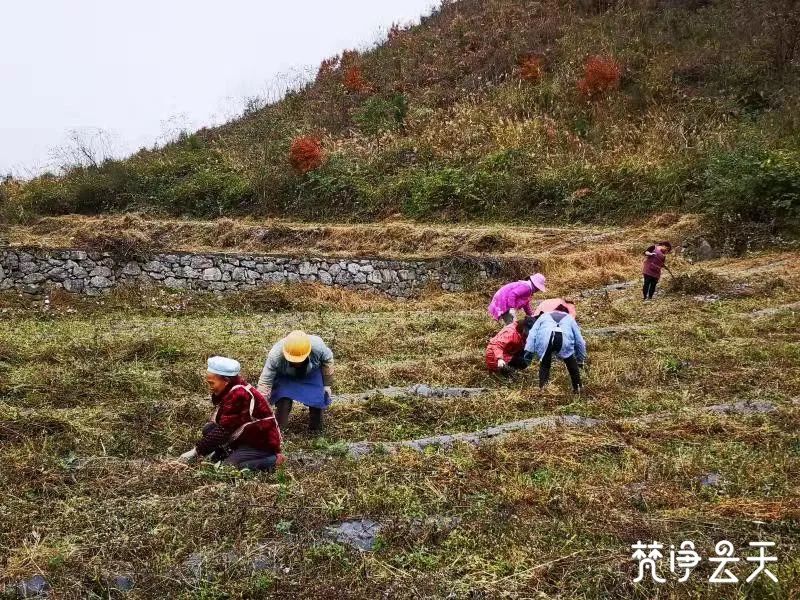 石阡一村志在弱村变强村变成什么样了结果看这里