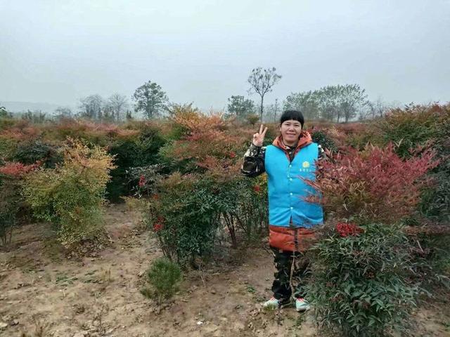 这条路上我们一起走简谱_这条路上我们一起走(2)