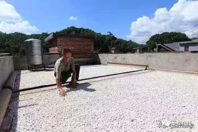 于都经济总量_于都中盛经济酒店(2)