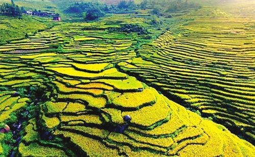尤溪县人口有多少_尤溪县地图(2)