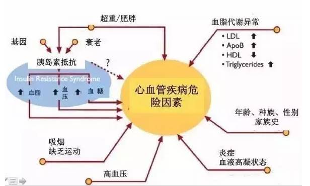 自动加速现象及其后果 36b2e7dd74c44119aa547fbe61b1e84c.jpeg