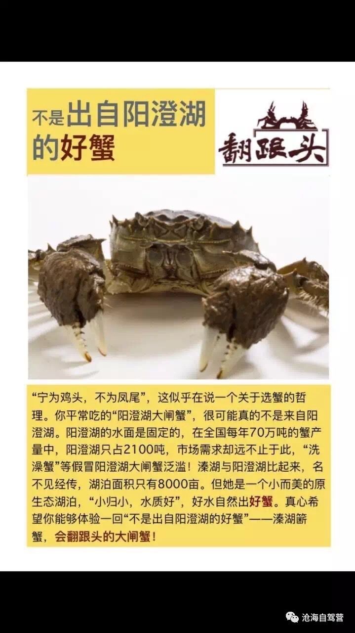 【高端温泉行】12月7-8号东台-溱湖品正宗溱湖簖蟹,泡