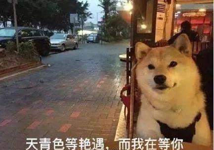 3f9832bf1d214517ad39e4ad83c618f2.jpeg