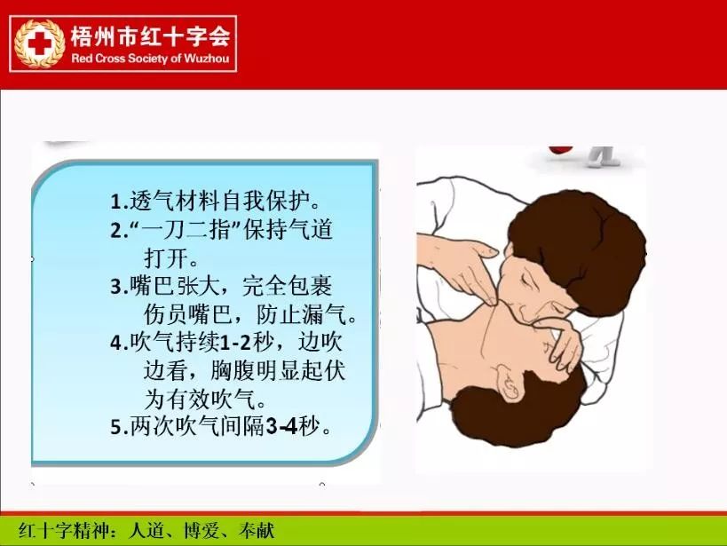 急救心肺复苏视频教学红十字会 448021c983ae49cda0d1d74983ce5343.jpeg