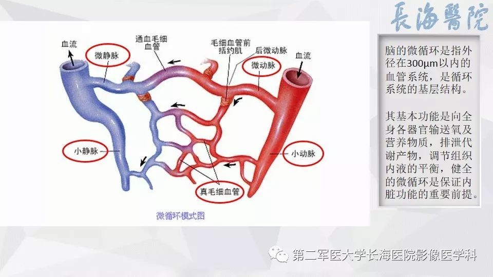 脑小血管病的影像表现与治疗