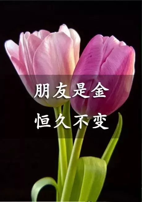 友情全凭一个信字延续,朋友全靠一个心字长久!_友谊